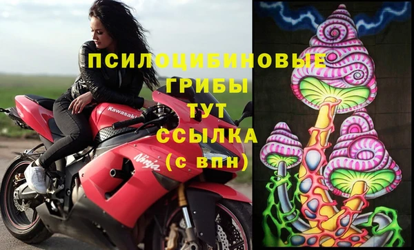 бошки Ладушкин