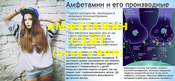 бошки Ладушкин