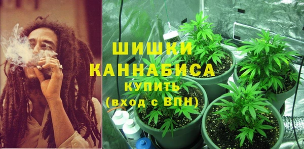 бошки Ладушкин