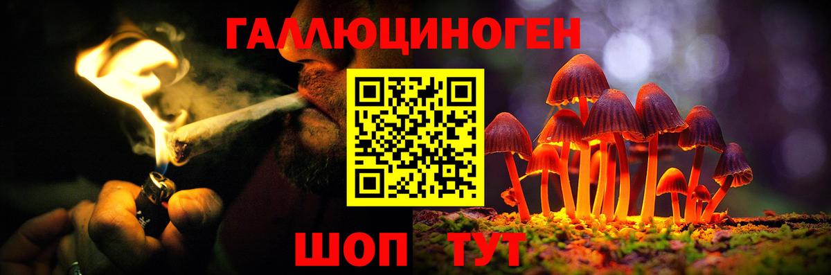 Псилоцибиновые грибы прущие грибы Ярославль